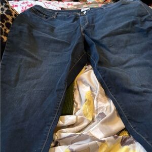 Sofia by Sofia Vergara Dark Blue Jeans